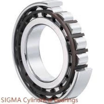 25 mm x 52 mm x 18 mm  SIGMA NU 2205 Rolamentos cilíndricos